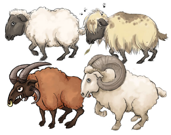 the sheep concept1